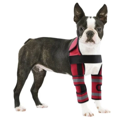 Dog Front Leg Arthritis Brace 01