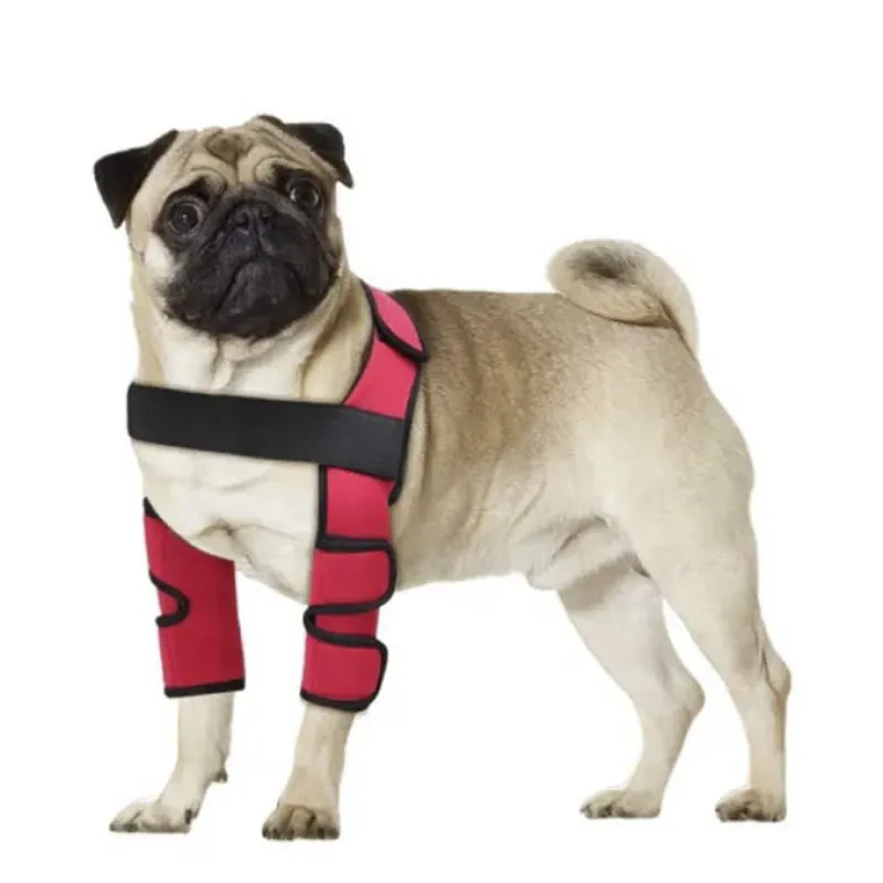 Dog Front Leg Arthritis Brace
