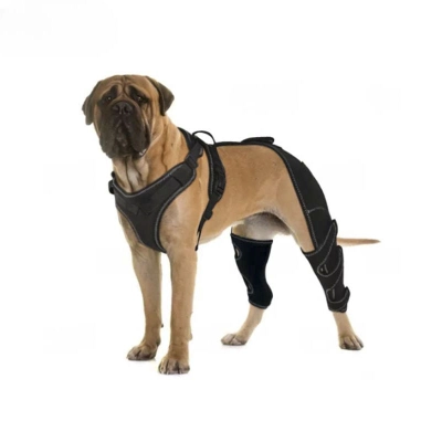 Dog Hind Leg Arthritis Brace 01