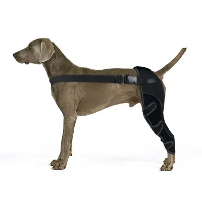 Dog Hind Leg Arthritis Brace 02