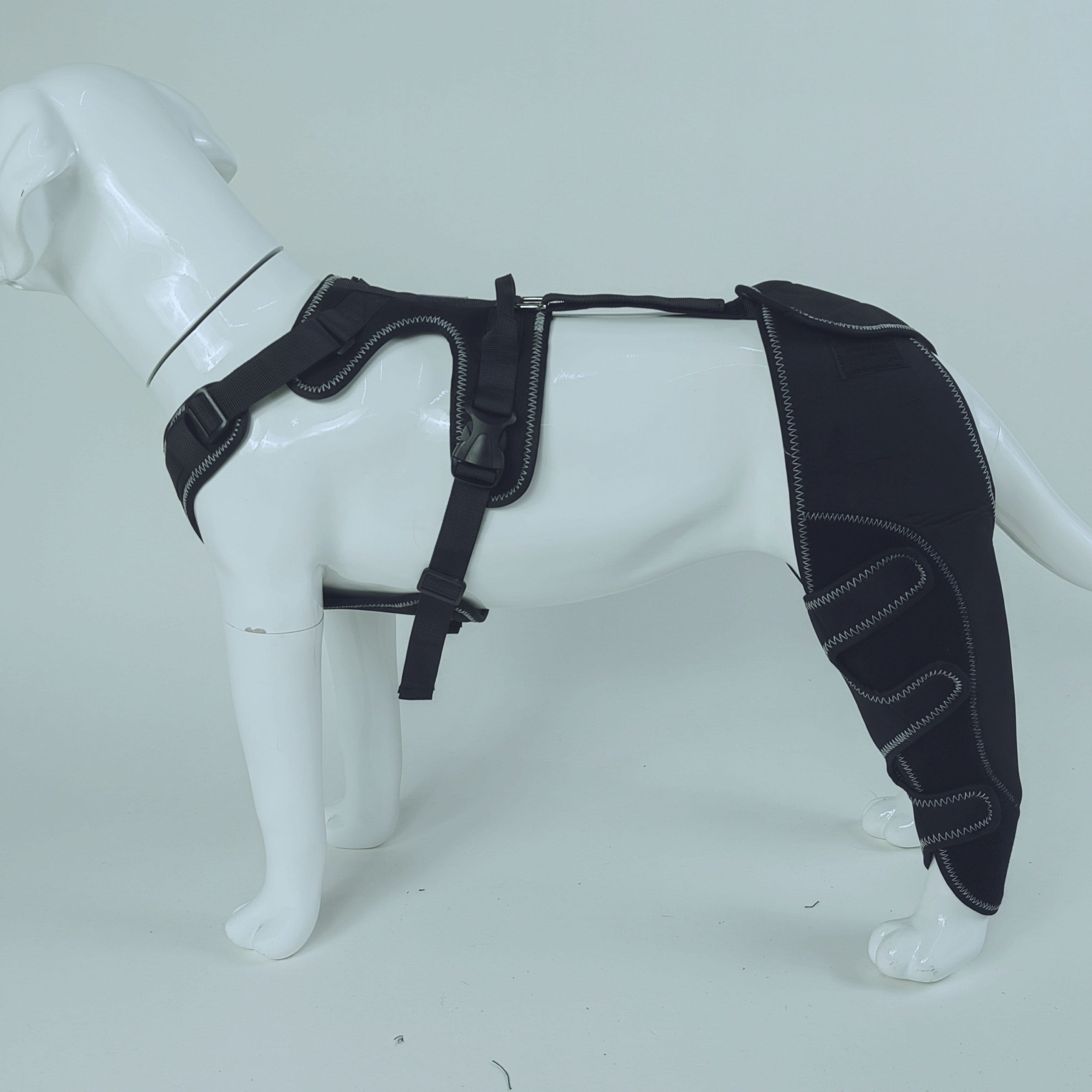 Dog Hind Leg Arthritis Brace