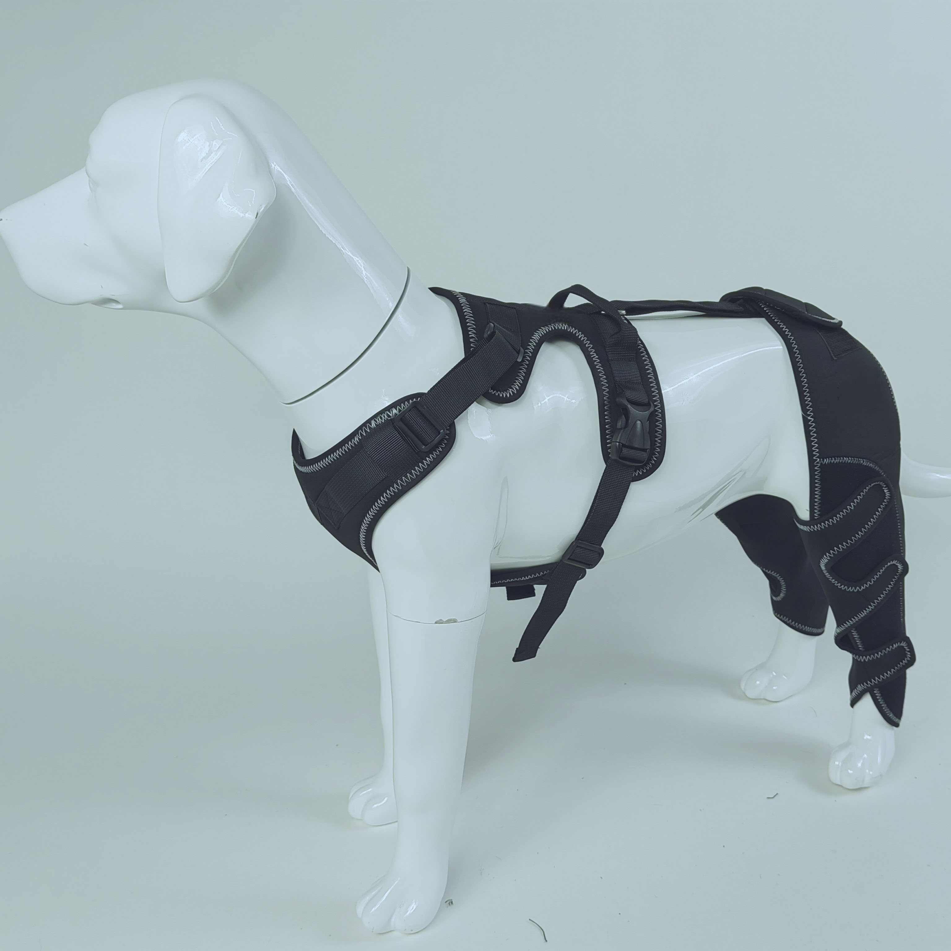 Dog Hind Leg Arthritis Brace