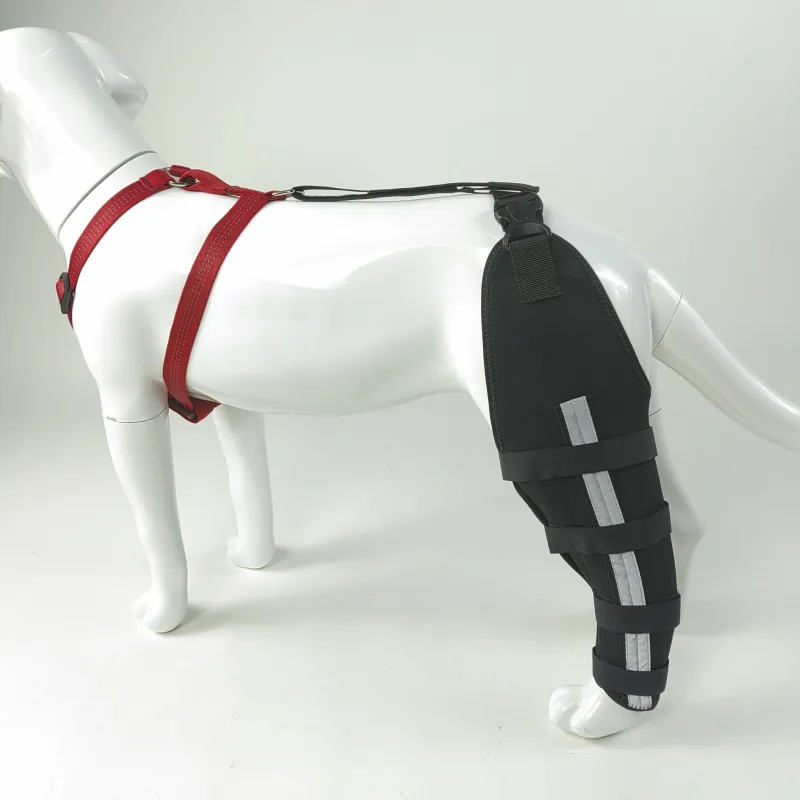 Dog Hind Leg Arthritis Brace