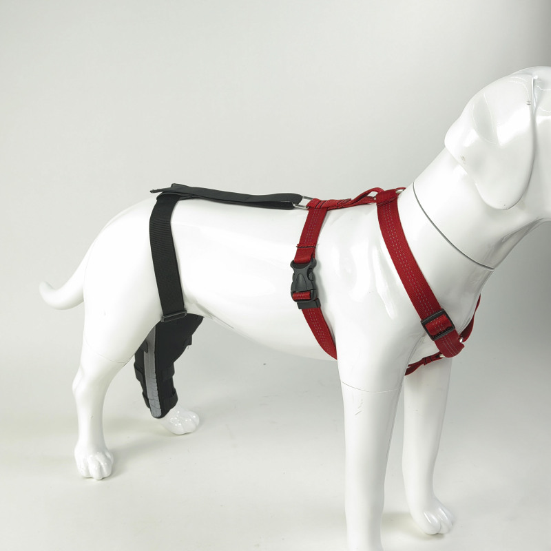 Dog Hind Leg Arthritis Brace
