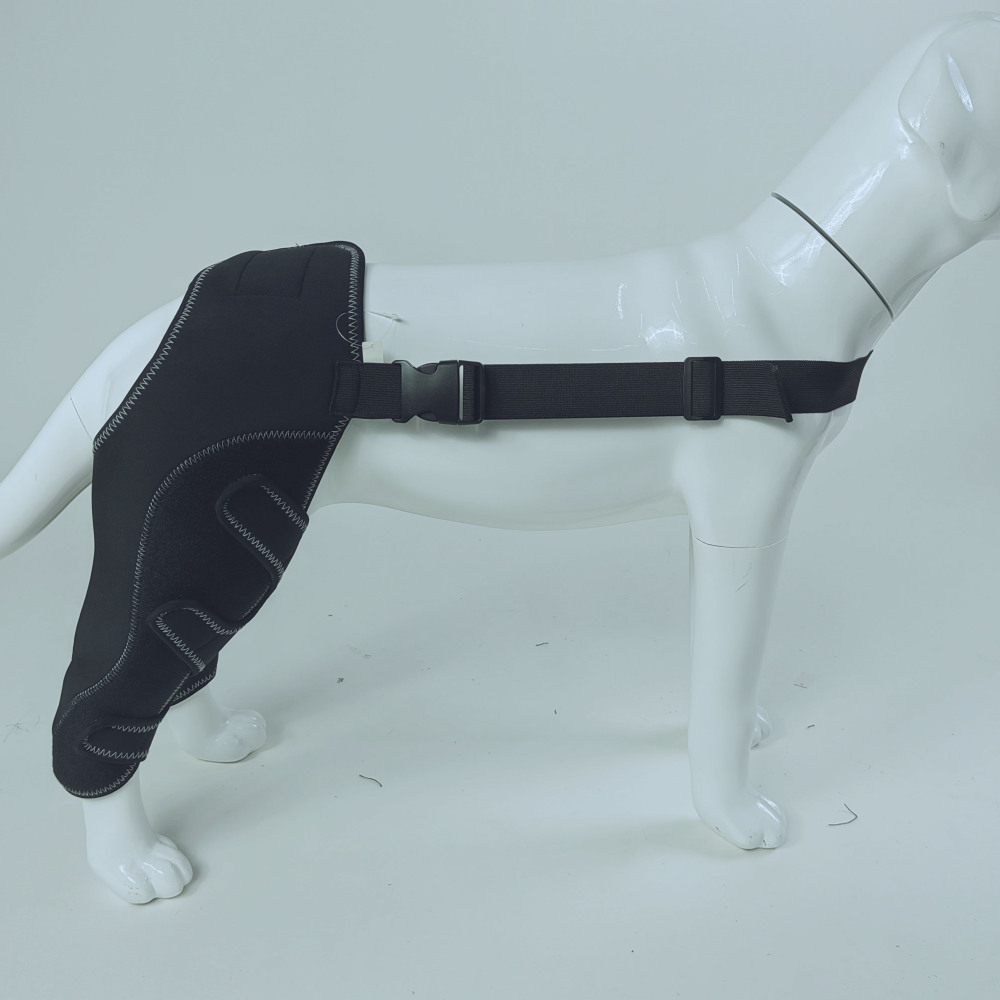 Dog Hind Leg Arthritis Brace