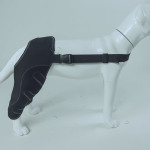 Dog Hind Leg Arthritis Brace