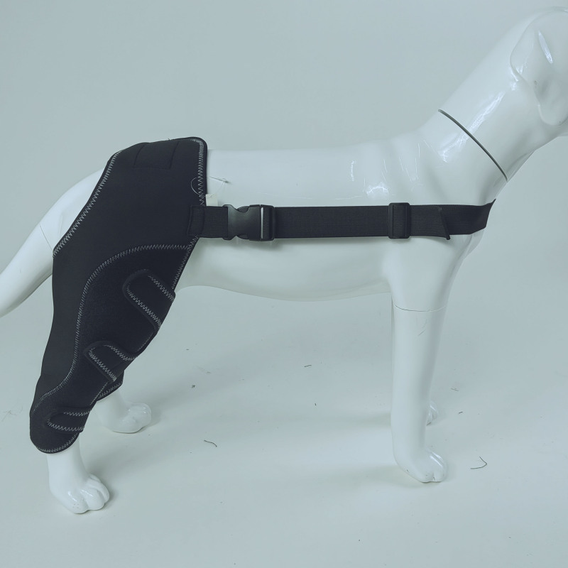 Dog Hind Leg Arthritis Brace
