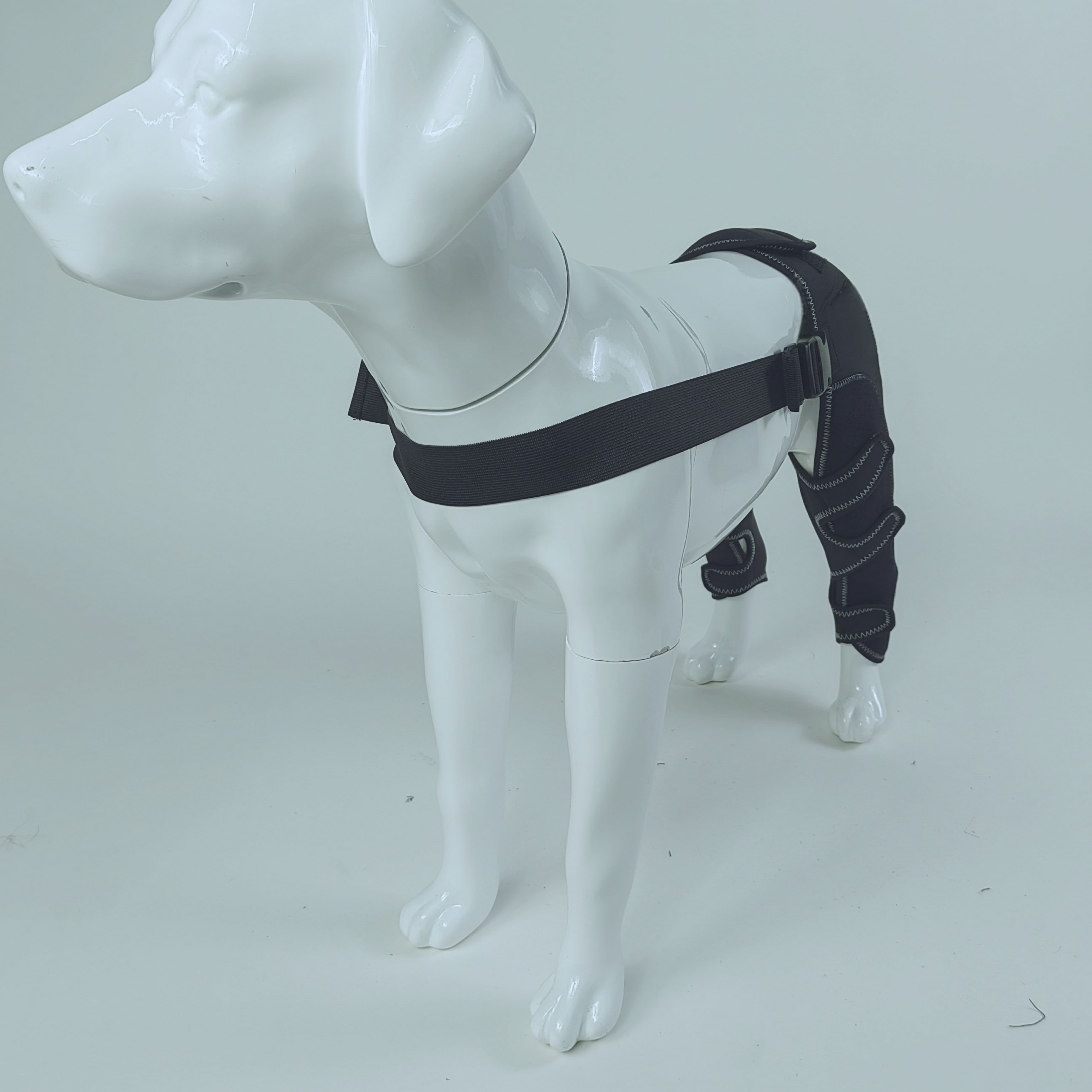 Dog Hind Leg Arthritis Brace