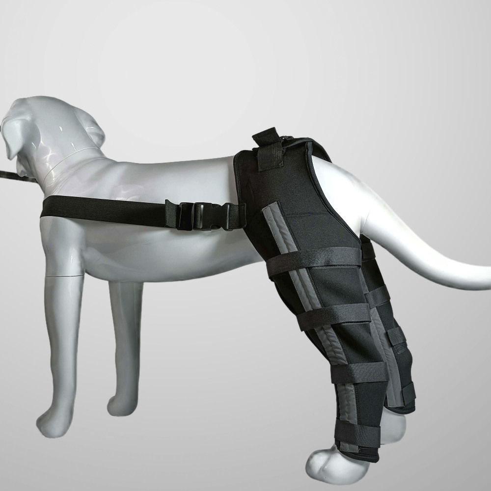 Dog Hind Leg Arthritis Brace