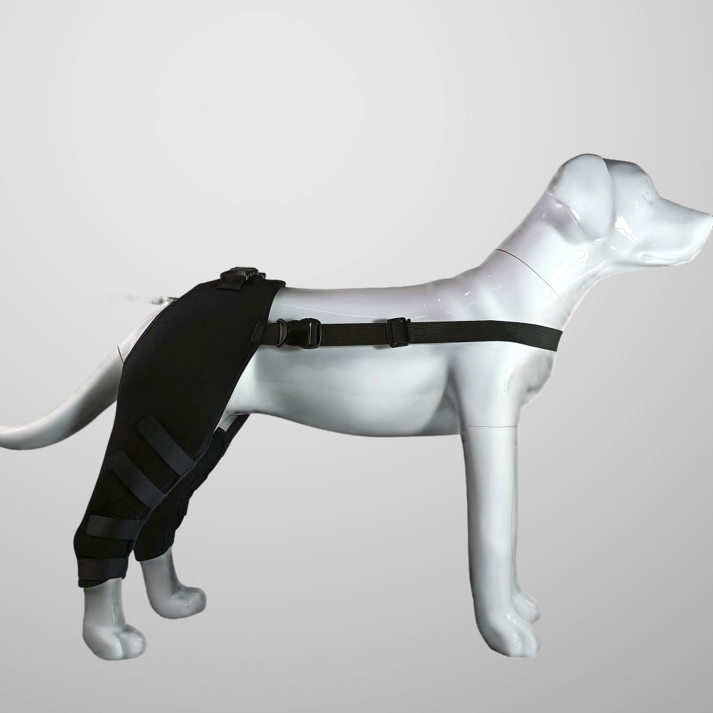 Dog Hind Leg Arthritis Brace