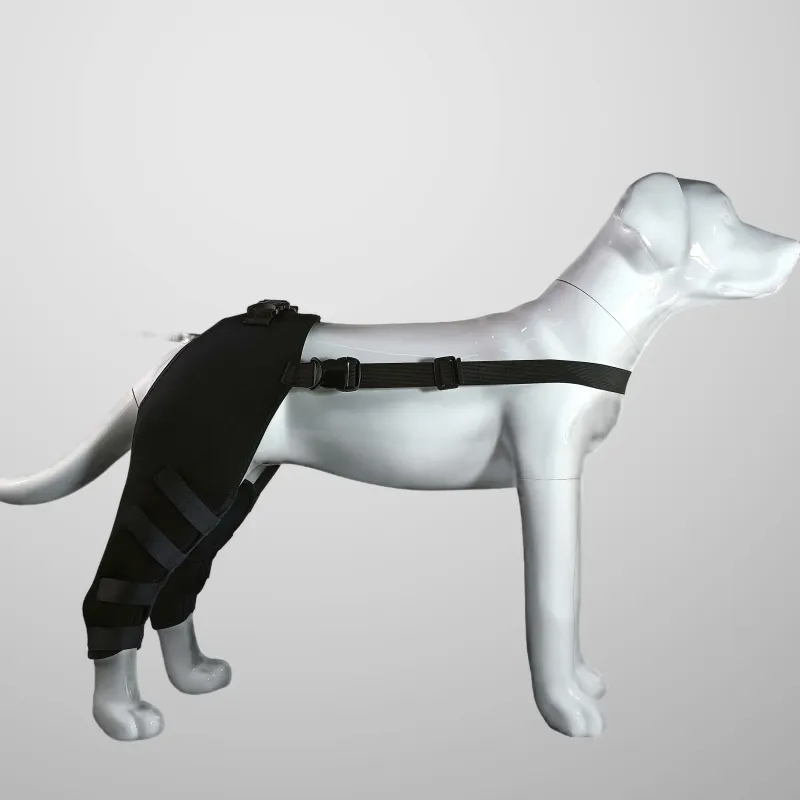Dog Hind Leg Arthritis Brace