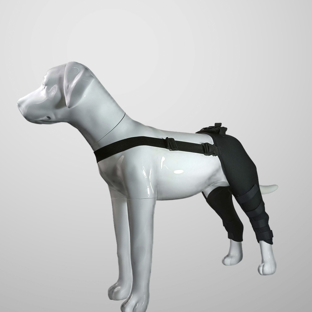 Dog Hind Leg Arthritis Brace