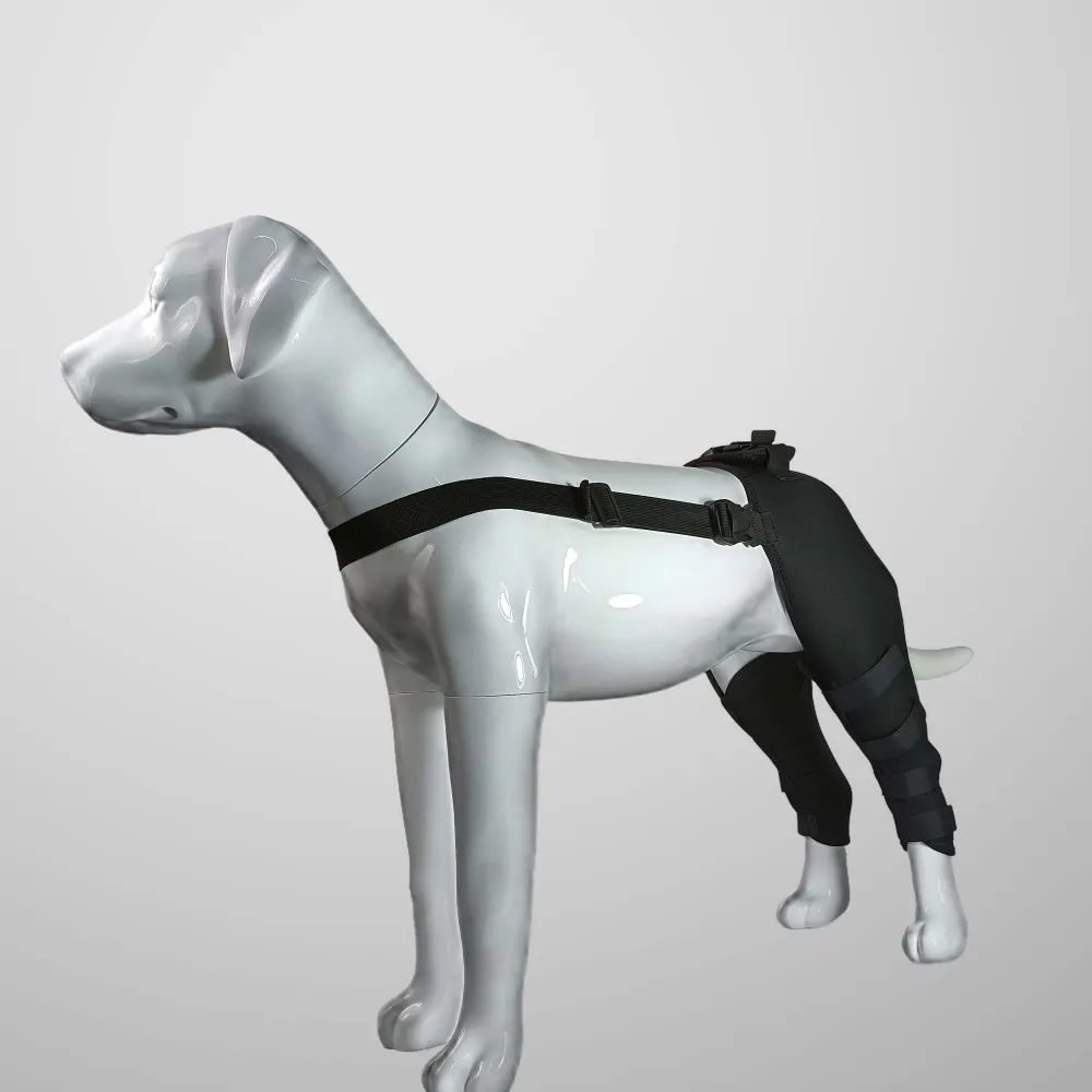 Dog Hind Leg Arthritis Brace