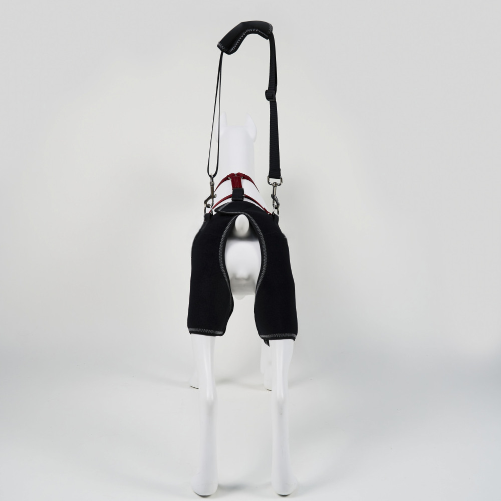 Dog Hip dysplasia Brace