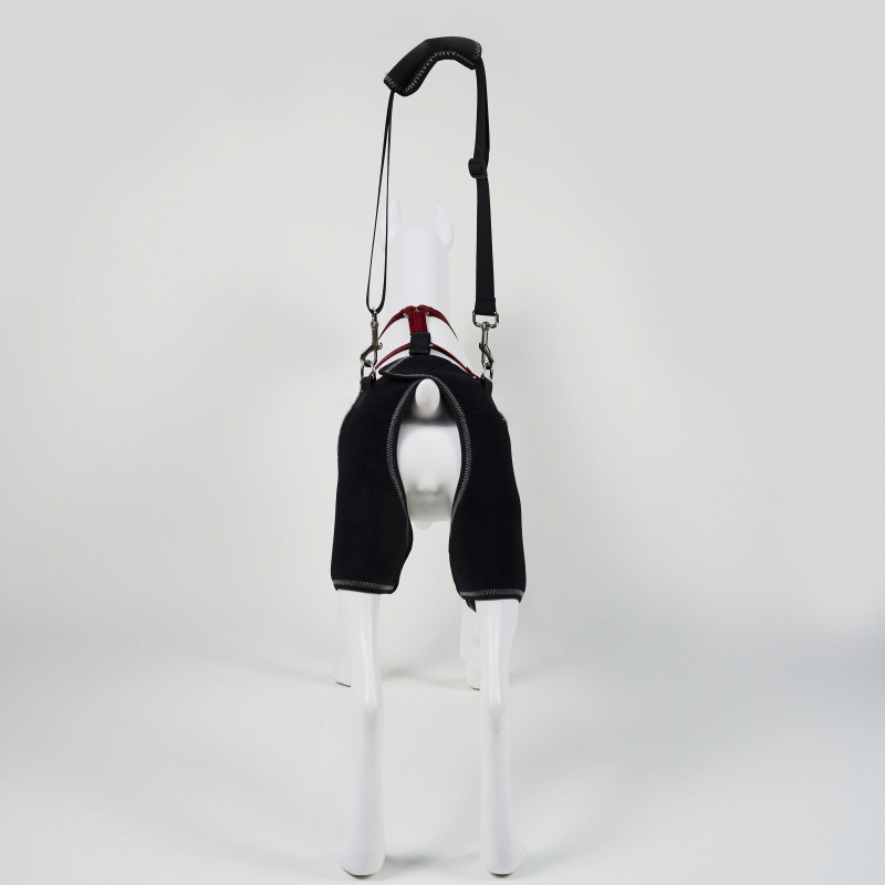 Dog Hip dysplasia Brace