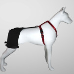 Dog Hip dysplasia Brace
