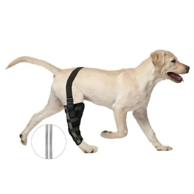 Dog Single Rear Leg Brace 01