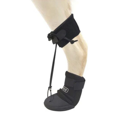 Dog Toe Bone Correction Shoe 01