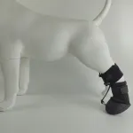 Dog Toe Bone Correction Shoe