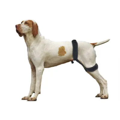 Hip Joint Corrective Brace 01