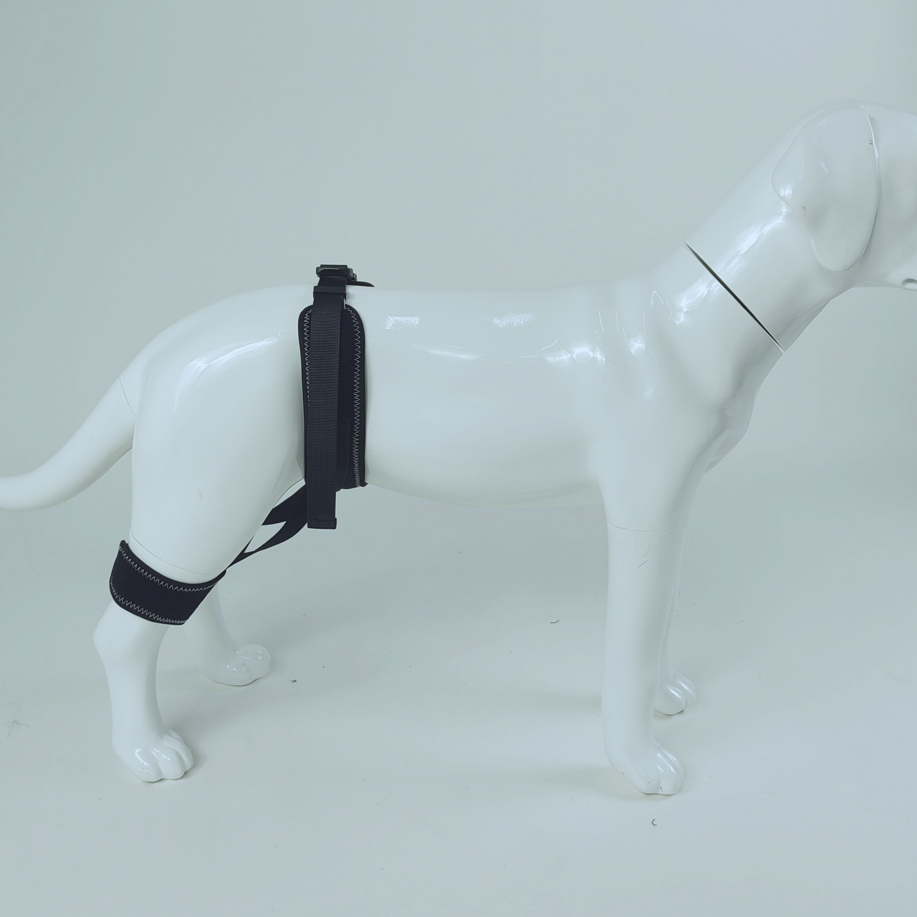 Dog Hip Brace Support & Harness Canine Hip Dysplasia Solutions