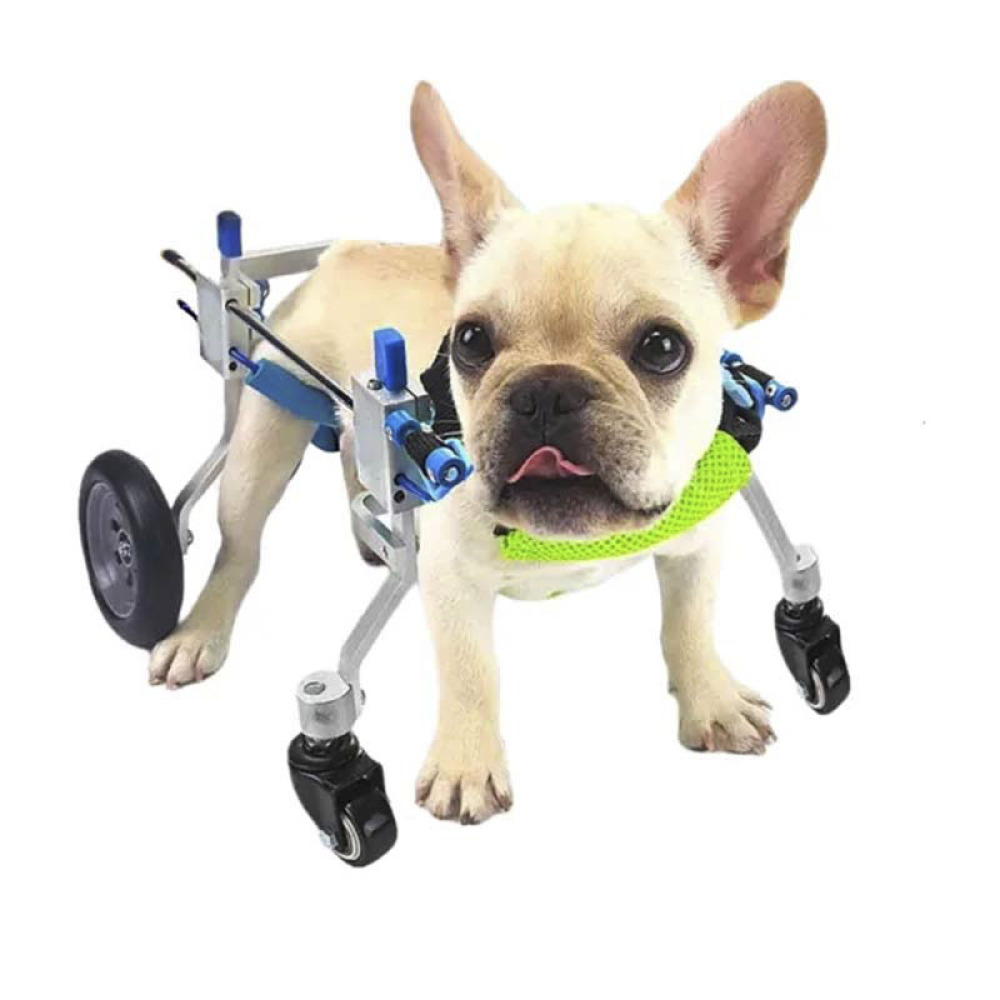 Quad Wheel Canine Wheelchair