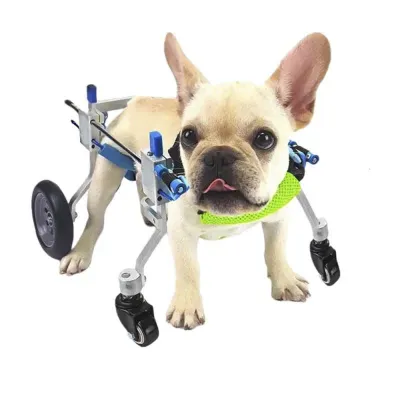 Quad Wheel Canine Wheelchair 01