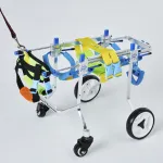 Quad Wheel Canine Wheelchair