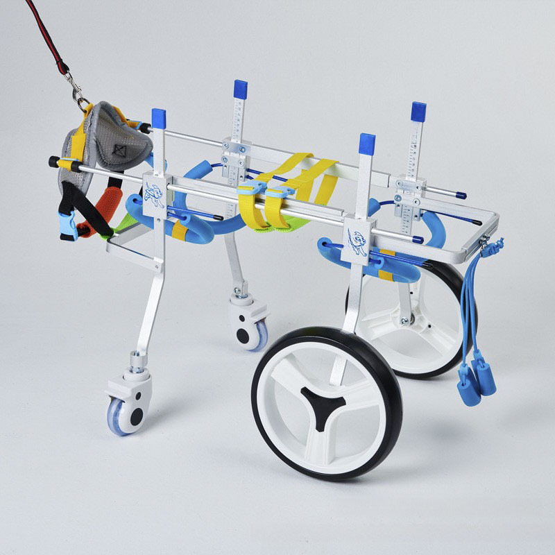 Quad Wheel Canine Wheelchair