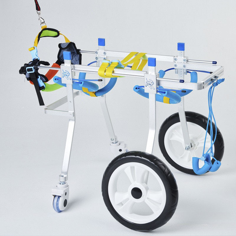 Quad Wheel Canine Wheelchair