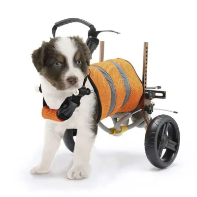 Small/Medium Dog Rehabilitation Wheelchair - Dual-Wheel Design 01