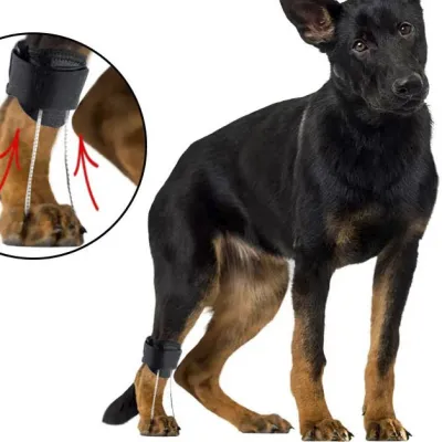 Toe Fracture Brace for Dogs 01