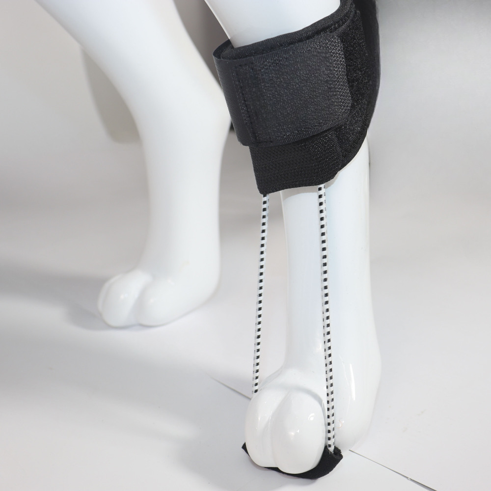 Toe Fracture Brace for Dogs