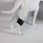 Toe Fracture Brace for Dogs