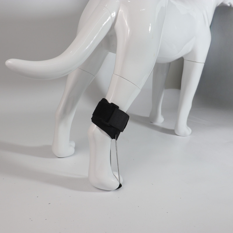 Toe Fracture Brace for Dogs