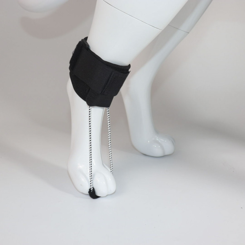 Toe Fracture Brace for Dogs