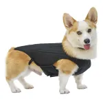 Dog Airflow Back Support Vest