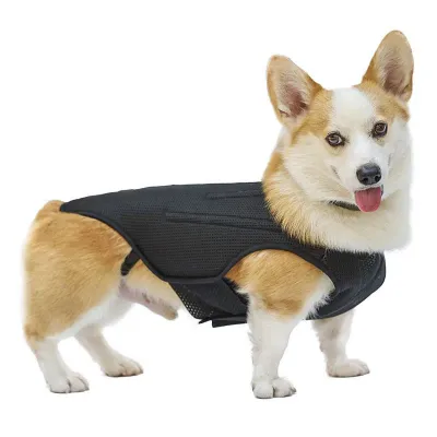 Dog Airflow Back Support Vest 01