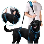Cross-Body Lift Harness