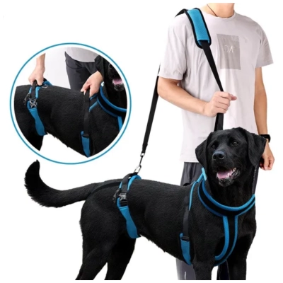 Cross-Body Lift Harness 01