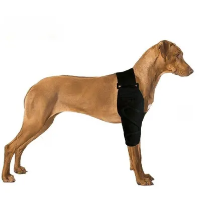 Dog Elbow Arthritis Brace 02