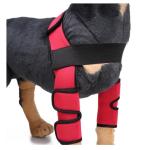 Dog Front Leg Arthritis Brace