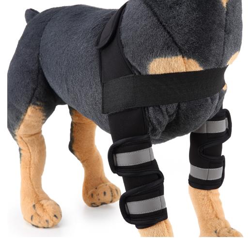 Dog Front Leg Arthritis Brace