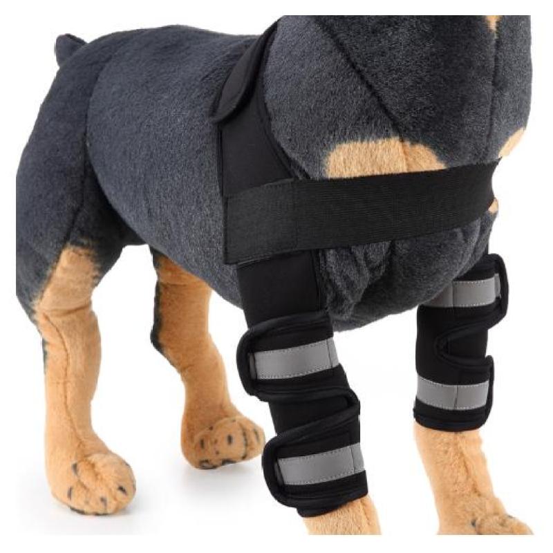 Dog Front Leg Arthritis Brace