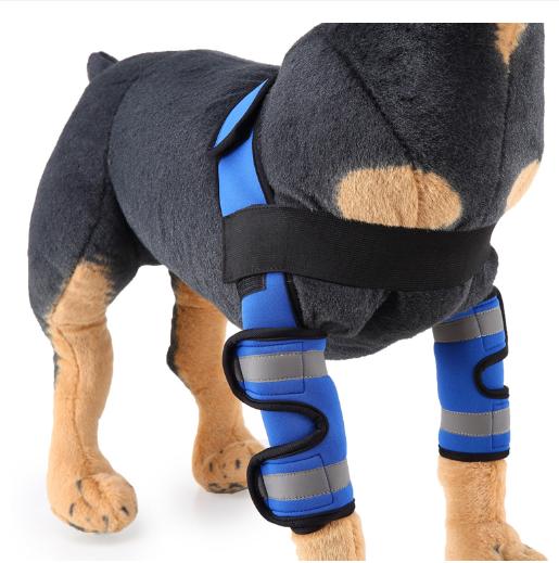 Dog Front Leg Arthritis Brace