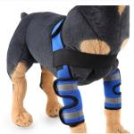 Dog Front Leg Arthritis Brace