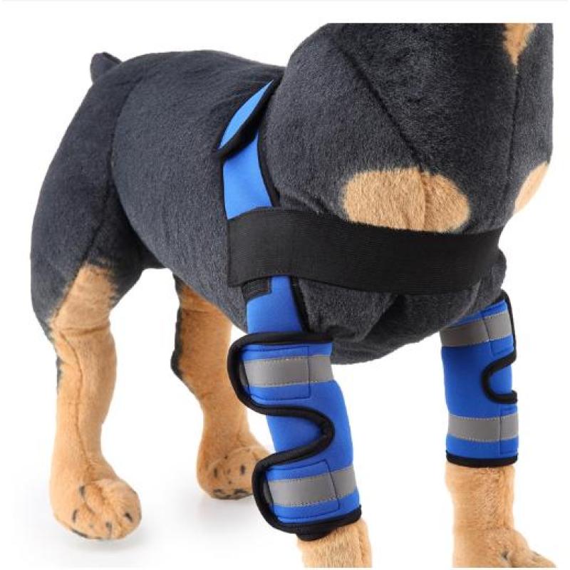 Dog Front Leg Arthritis Brace