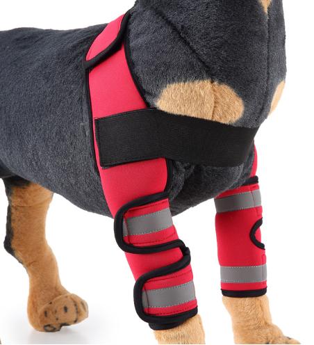 Dog Front Leg Arthritis Brace