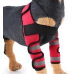 Dog Front Leg Arthritis Brace