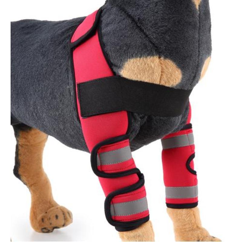 Dog Front Leg Arthritis Brace